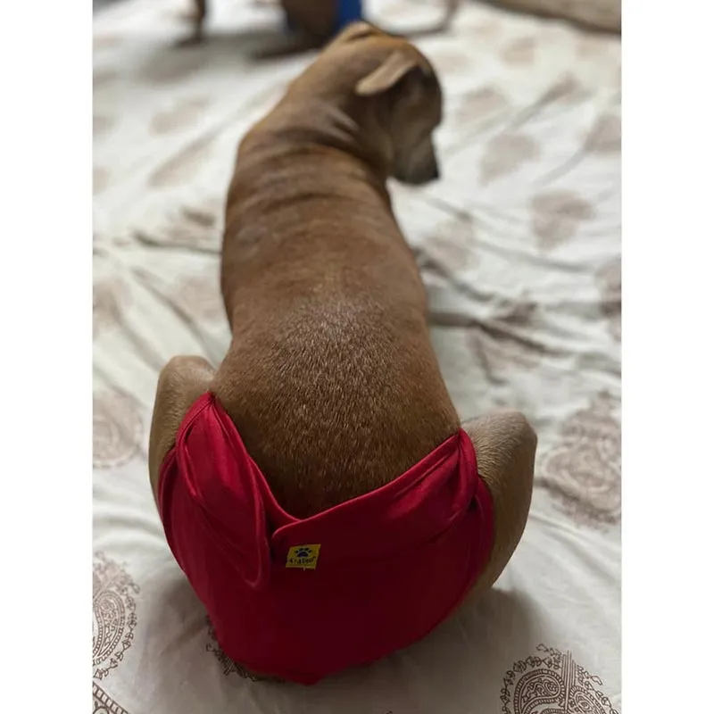 A a Pets’ Cotton Reusable Washable Diaper for Dogs (Red)