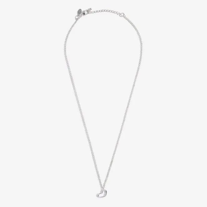 A Little Amazing Auntie Silver 46cm   5cm Extender Necklace 5278