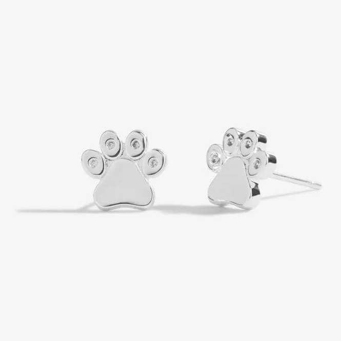 Beautifully Boxed A Little Love Has Four Paws Silver Box Earrings 5308