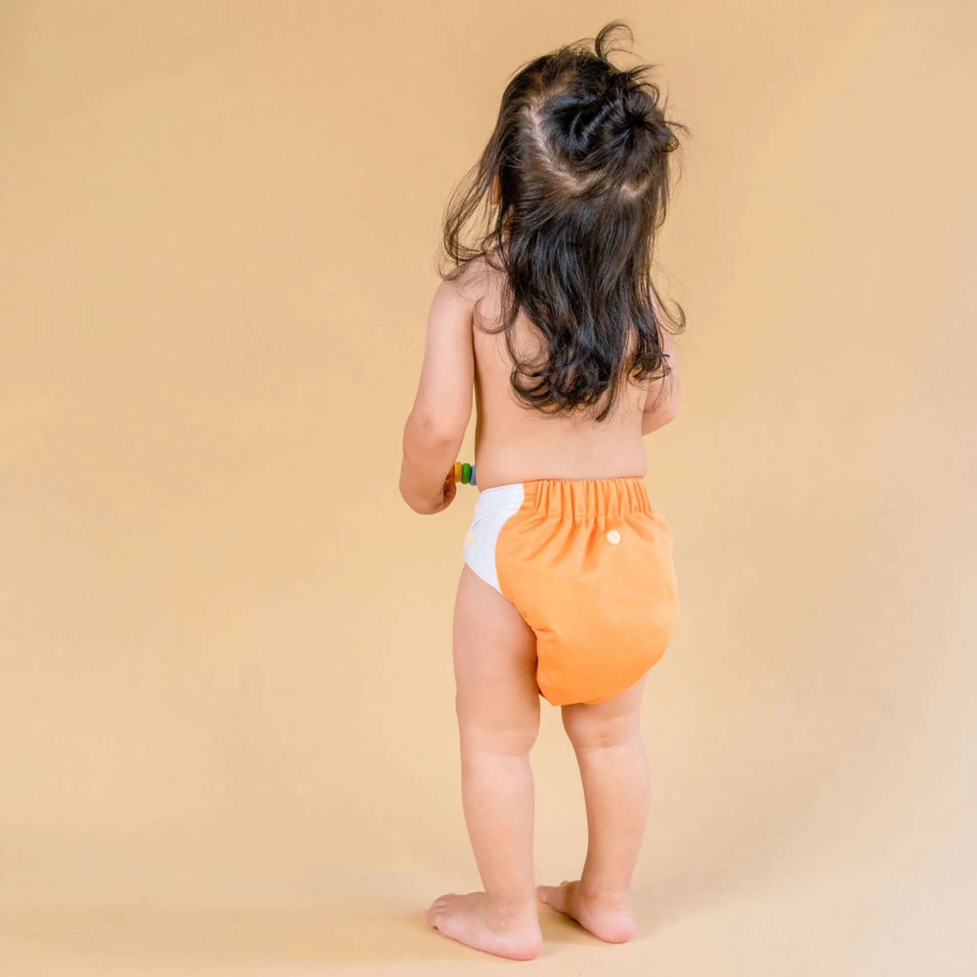 Cloth Diapers - Classic Collection - Single Diaper Set   Inserts