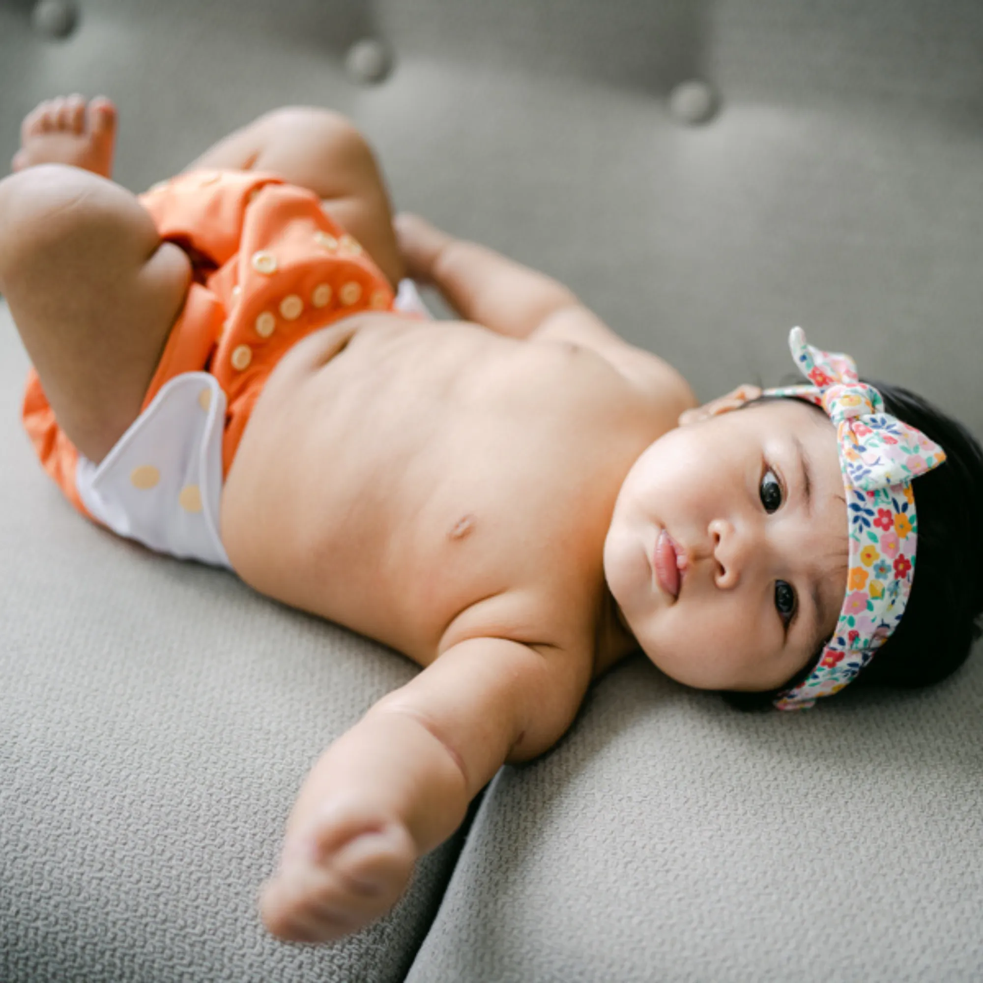 Cloth Diapers - Classic Collection - Single Diaper Set   Inserts