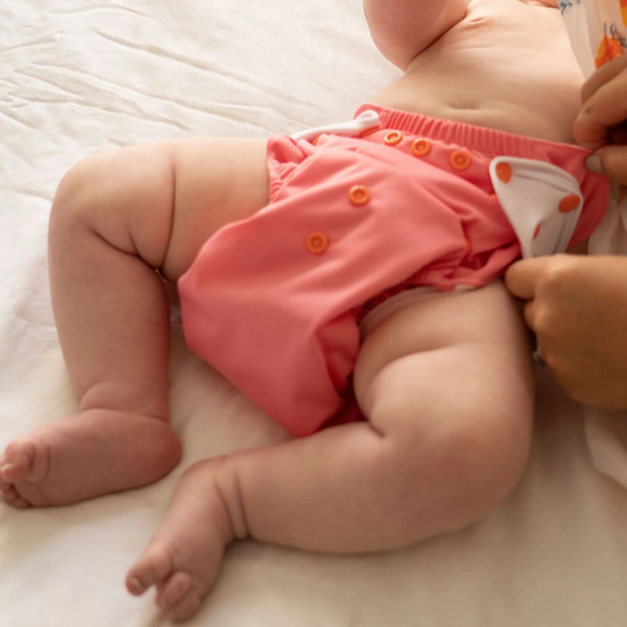 Cloth Diapers - Classic Collection - Single Diaper Set   Inserts