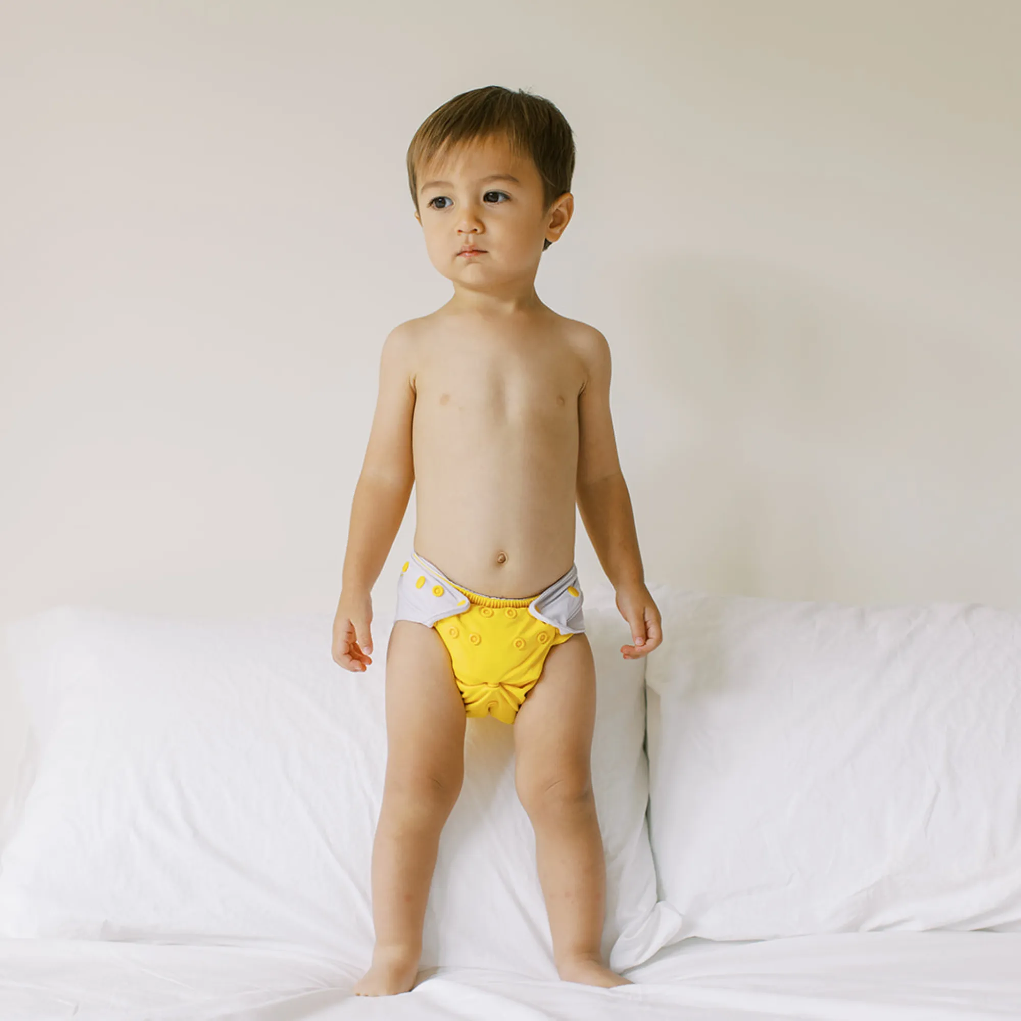 Cloth Diapers - Classic Collection - Single Diaper Set   Inserts