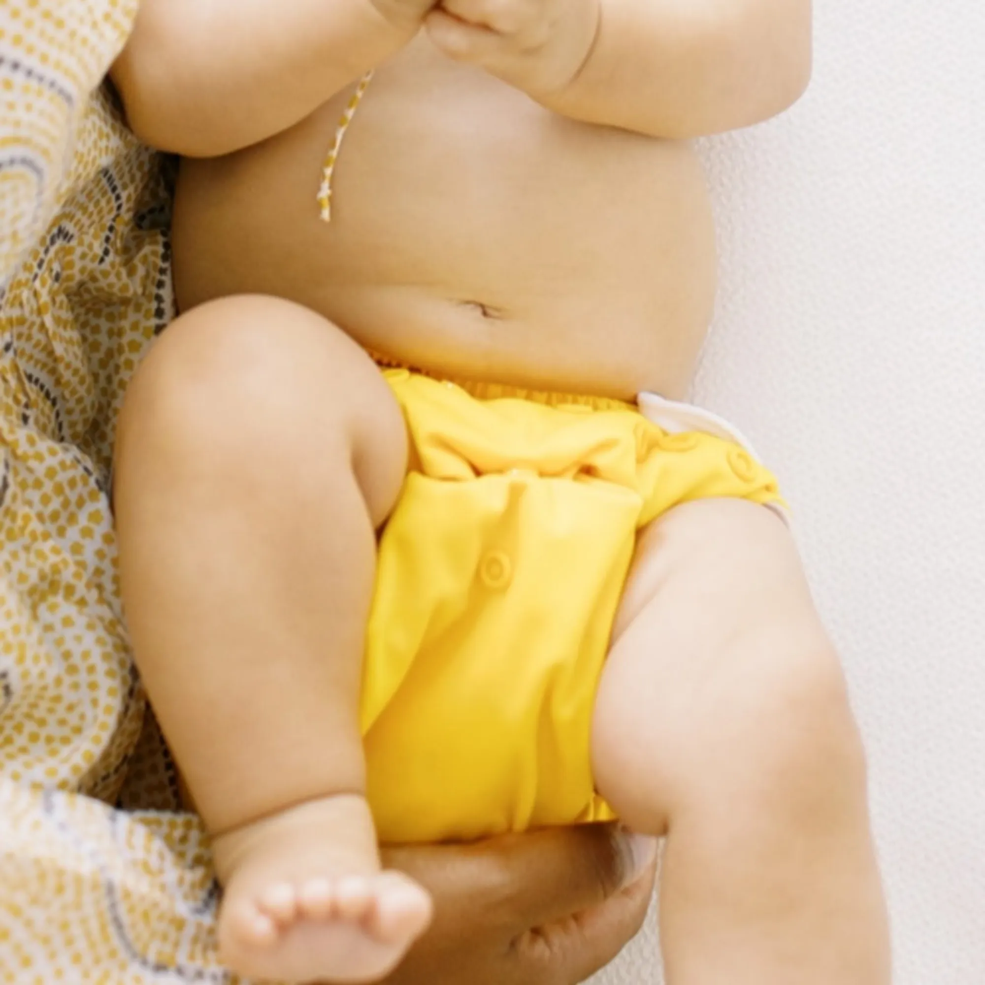 Cloth Diapers - Classic Collection - Single Diaper Set   Inserts