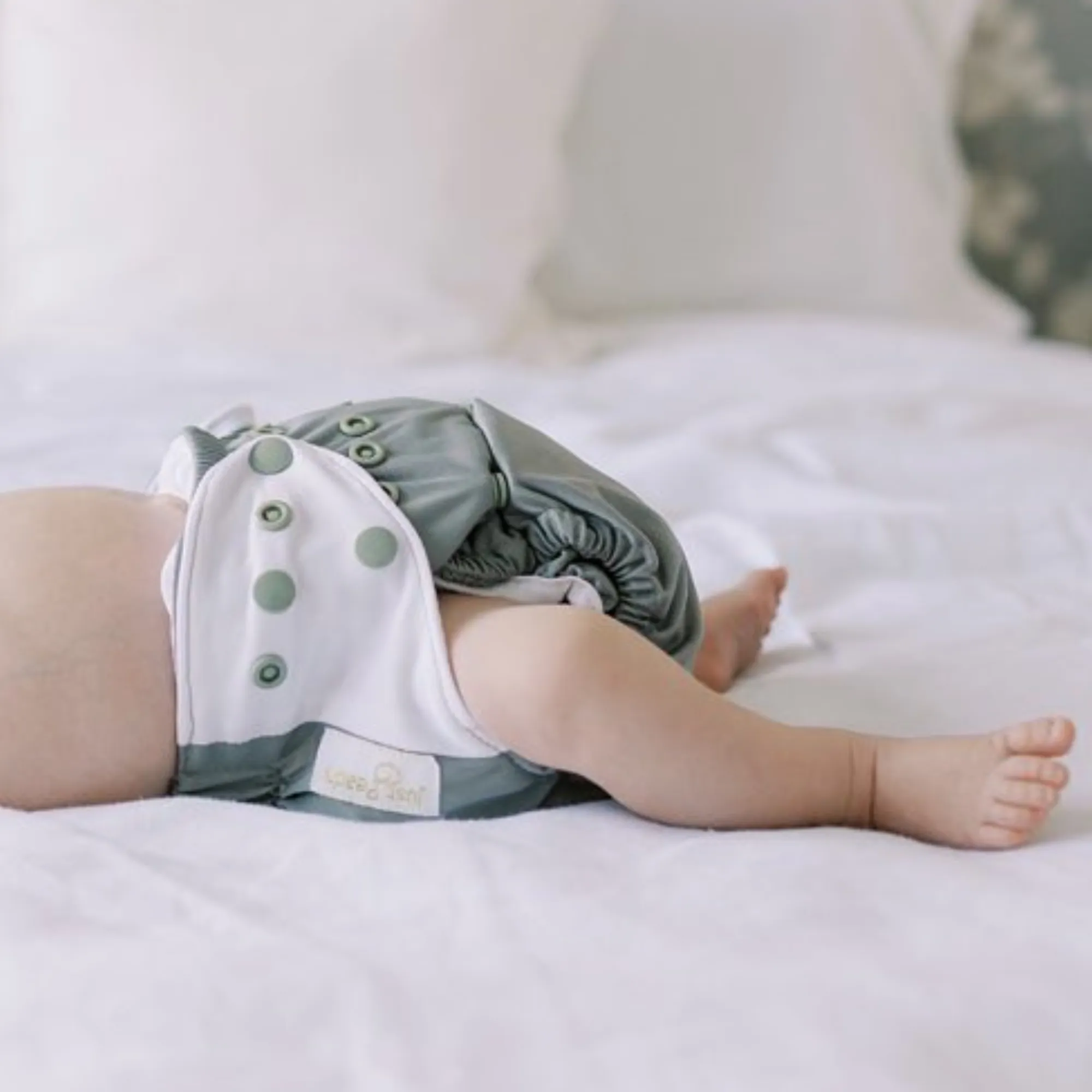 Cloth Diapers - Classic Collection - Single Diaper Set   Inserts