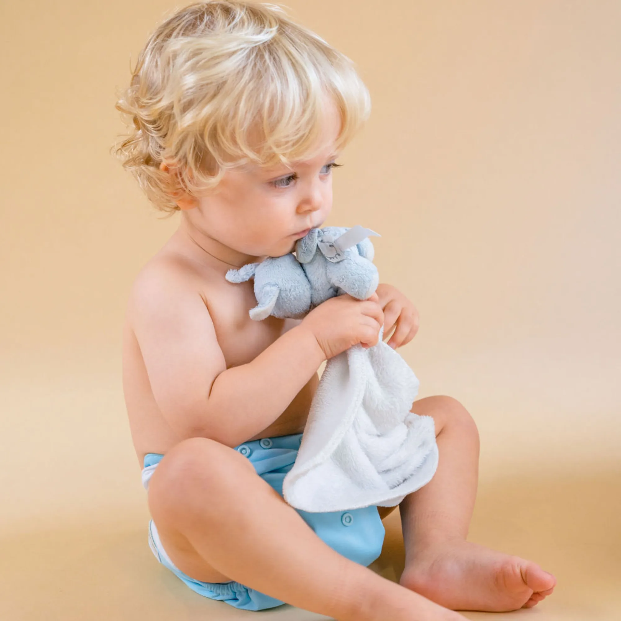 Cloth Diapers - Classic Collection - Single Diaper Set   Inserts
