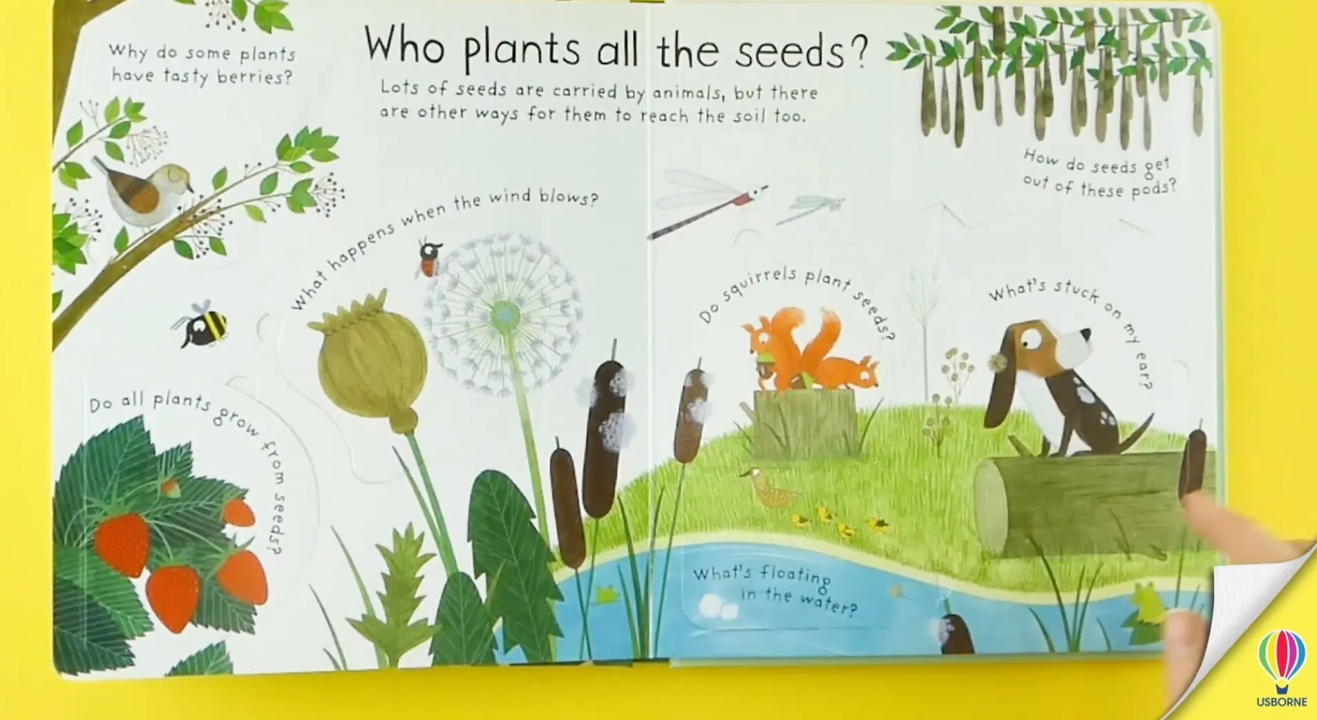 How do Flowers Grow Story Sack with Dr Zigs Pollinator Kit