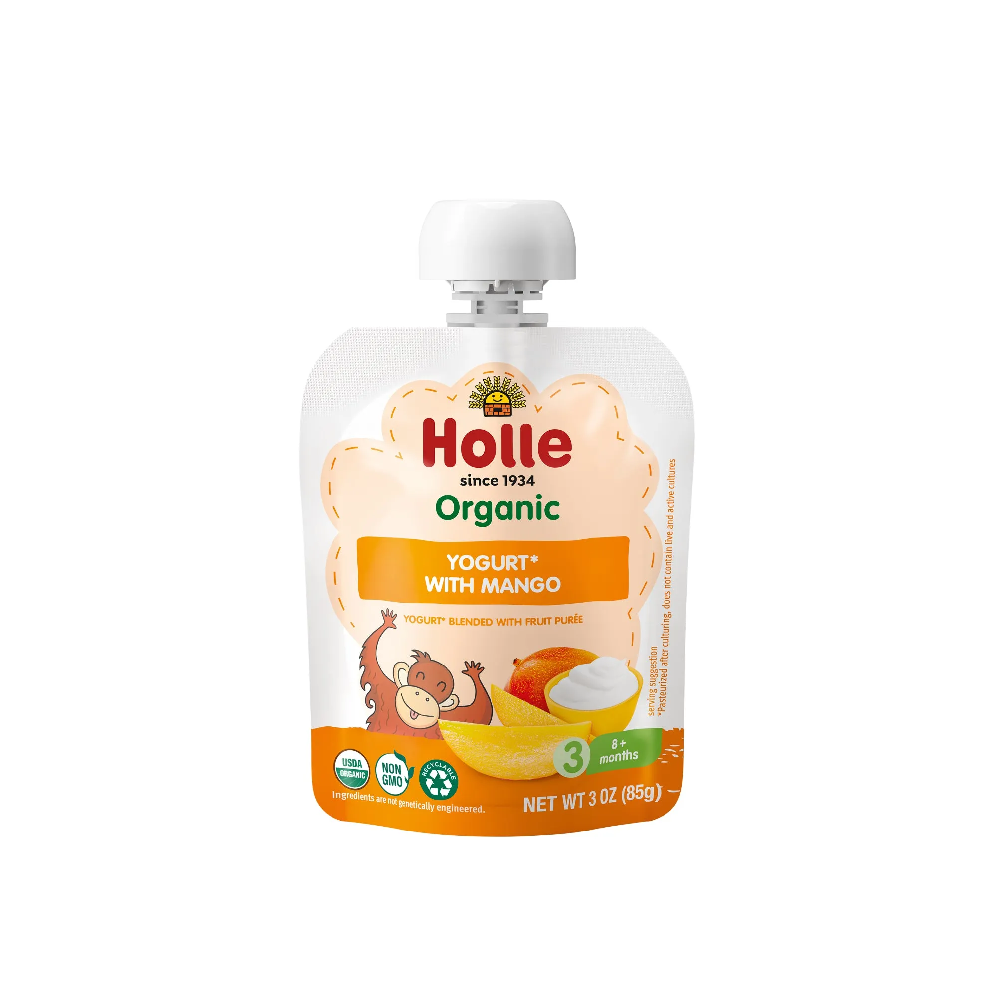 Organic Mango Yogurt Pouches - Box of 10